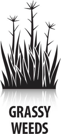 What It Does - Illustration (585x585), Png Download