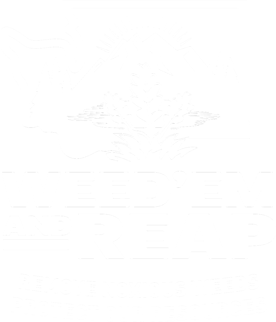 Noxious Weeds Damage Our Resources - Poster (1200x1373), Png Download