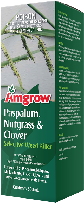 Nut Grass (348x800), Png Download