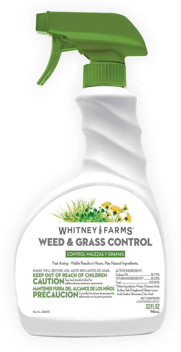 Weed & Grass Control - Whitney Farms Insecticidal Soap (1000x1459), Png Download