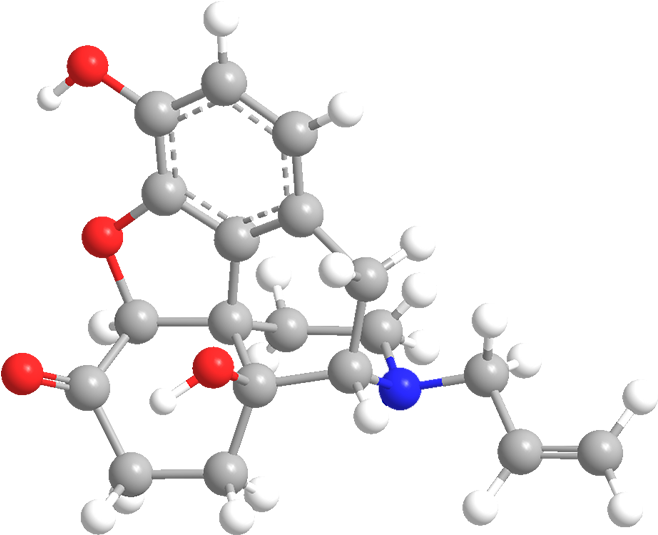 Naloxone-3d - Advanced Chemical Kinetics, 2013 (700x584), Png Download