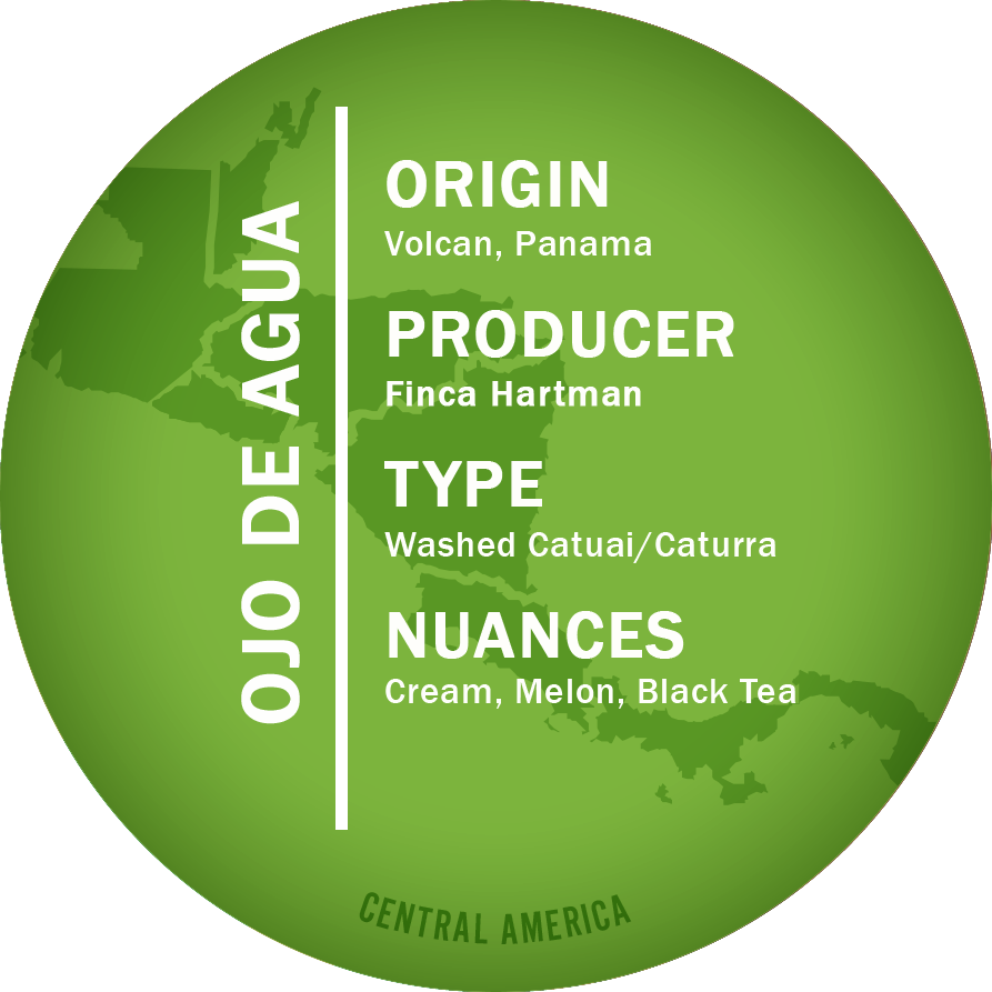 Shop - Novo Coffee (893x893), Png Download