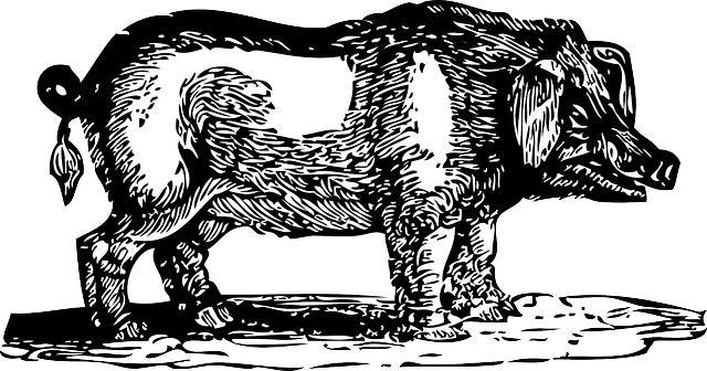 Outline, Farm, Pig, Wild, Hog, Animal, Mammal, Dirty - Hog Clip Art (640x336), Png Download