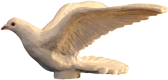 Paloma Rociera - Stock Dove (748x511), Png Download