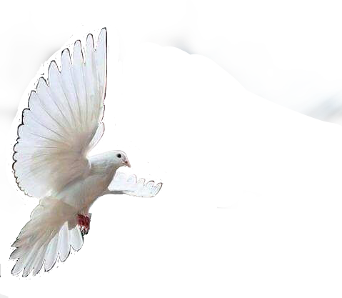 Holy Spirit In 365 Scriptures (479x417), Png Download