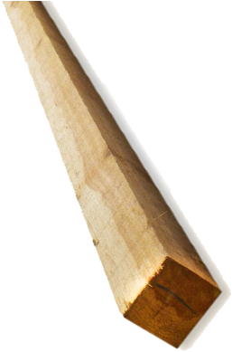 Polin1 - Barrote De Madera Png (450x450), Png Download