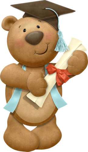 Imágenes Ideales Para Manualidades, Decoración - Oso Graduado Para Colorear (290x500), Png Download