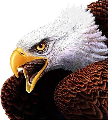 Aguiluchos Desde Chiquitico - Png De Aguilas (570x420), Png Download