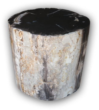 Petrified Wood Log Stool Pf-2116 - Lumber (750x562), Png Download