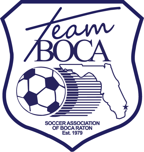 Club News - Orange Soccer Ball (500x530), Png Download