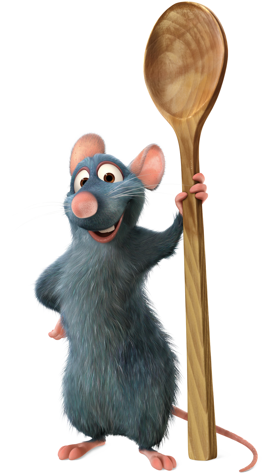 Rat Clipart Transparent Background (1000x1806), Png Download