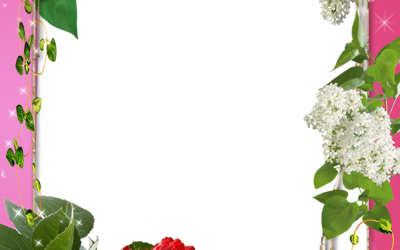 Photoshop Frame Png Marcadores Casamento Flores Png - Marco Para Fotos Con Rosas (1368x855), Png Download