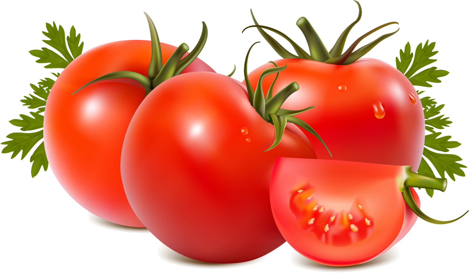 Everyday Life, Tomato And Kidney Stone - Tomato Png (1600x1016), Png Download
