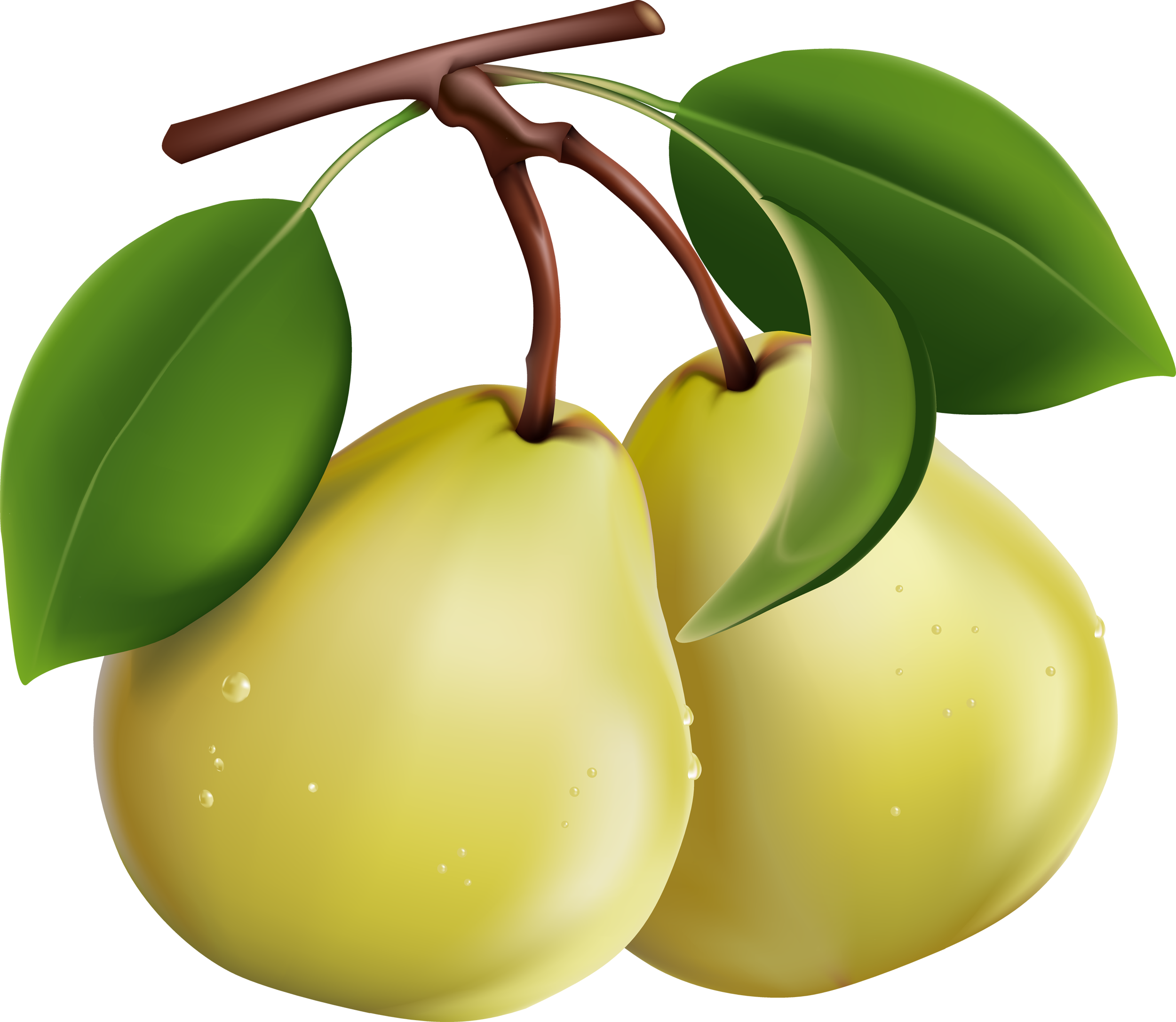 Pear - Clipart Images Of Pears (2500x2173), Png Download