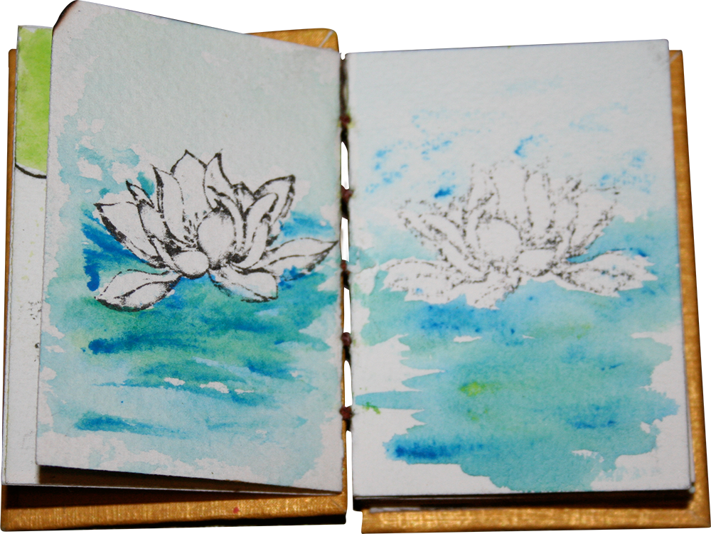 Smallbooklotus Smallbookfly - Sacred Lotus (1000x751), Png Download