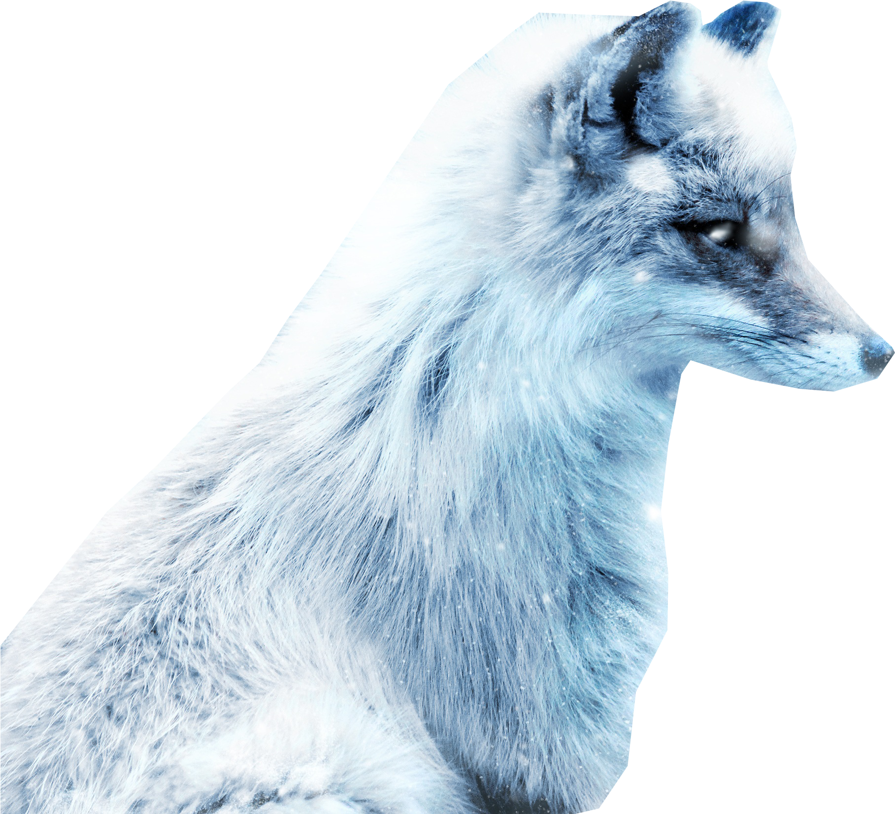 Arctic Snow Fox Png Image - Arctic Fox (2800x1867), Png Download