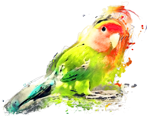 Lovebird Painting Onesie For Sale By Justyna - Love Birds Watecolour Paintings (600x450), Png Download