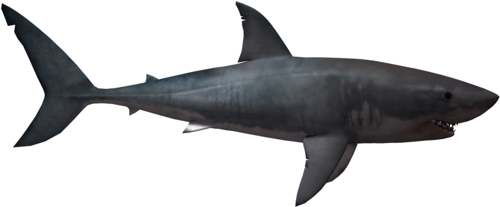 Visit - Great White Shark Png Transparent (1024x639), Png Download