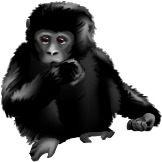 Gorilla - Baby - Macaque (352x352), Png Download