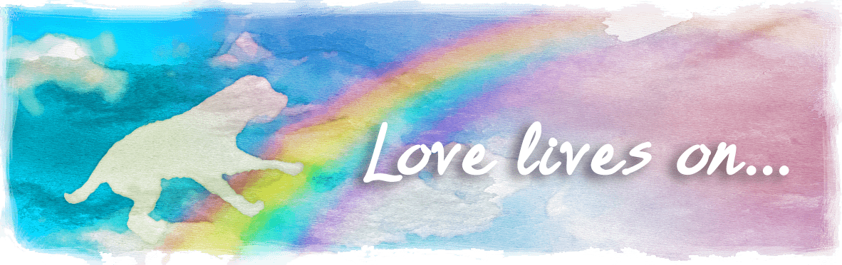 Rainbowdog1 - Graphic Design (1182x373), Png Download