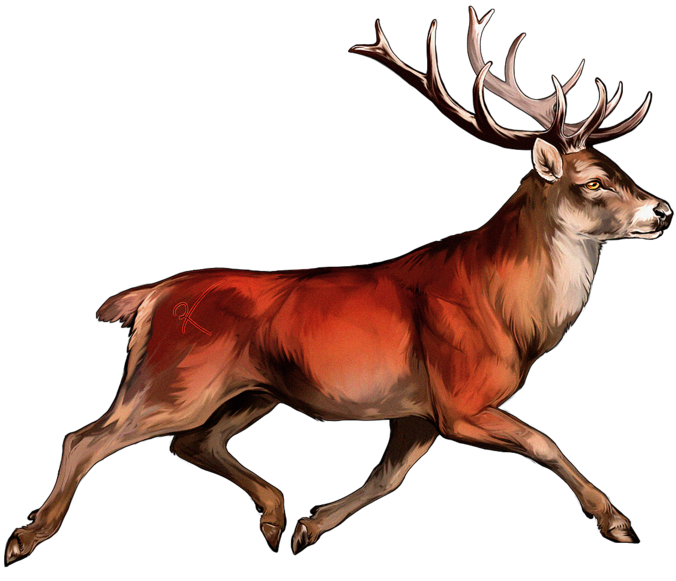 Red Deer Png - Republic Of Ireland (900x600), Png Download