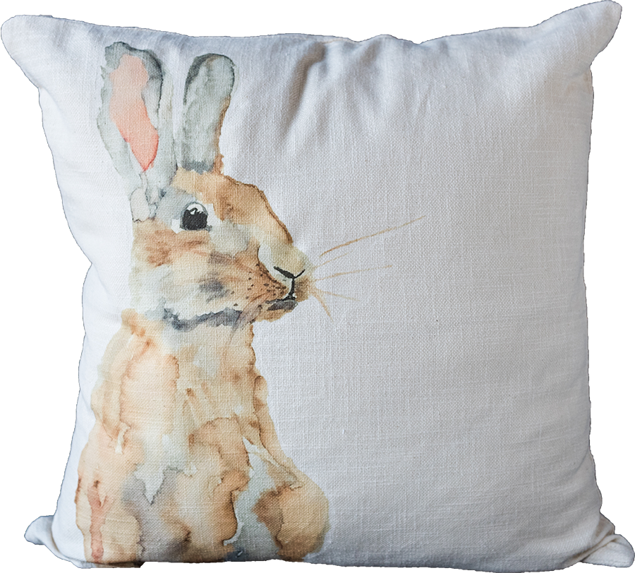 Brown Sitting Bunny - Cushion (900x812), Png Download