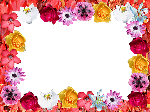 Pretty Flower Photo Frames 1 0 Apk Android 4 0 X Ice - Pretty Flower (480x360), Png Download