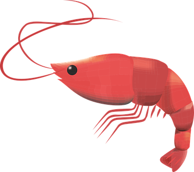Prawn, Crustacean, Seafood, Fresh - Scampi Clip Art (384x340), Png Download