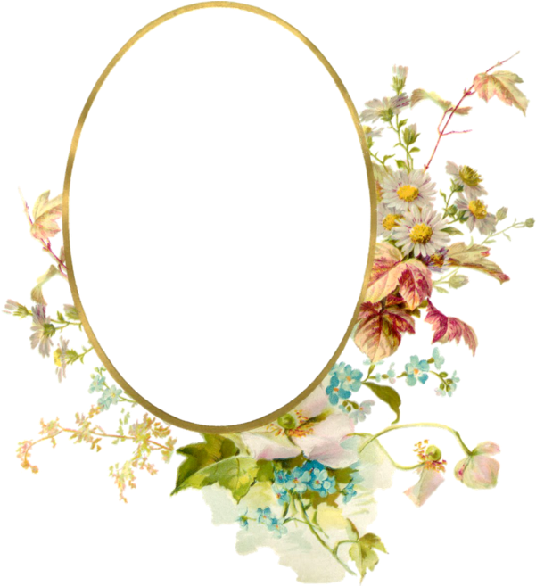 Png Imges Free Download - Vintage Flower Frame Png (624x709), Png Download