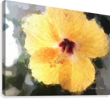Lady Yellow Canvas Print - Hawaiian Hibiscus (429x386), Png Download
