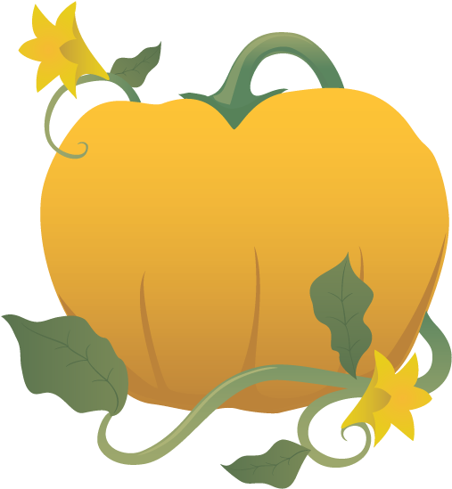 Lemon Drawing Vine - Pumpkin On A Vine Clipart (520x561), Png Download