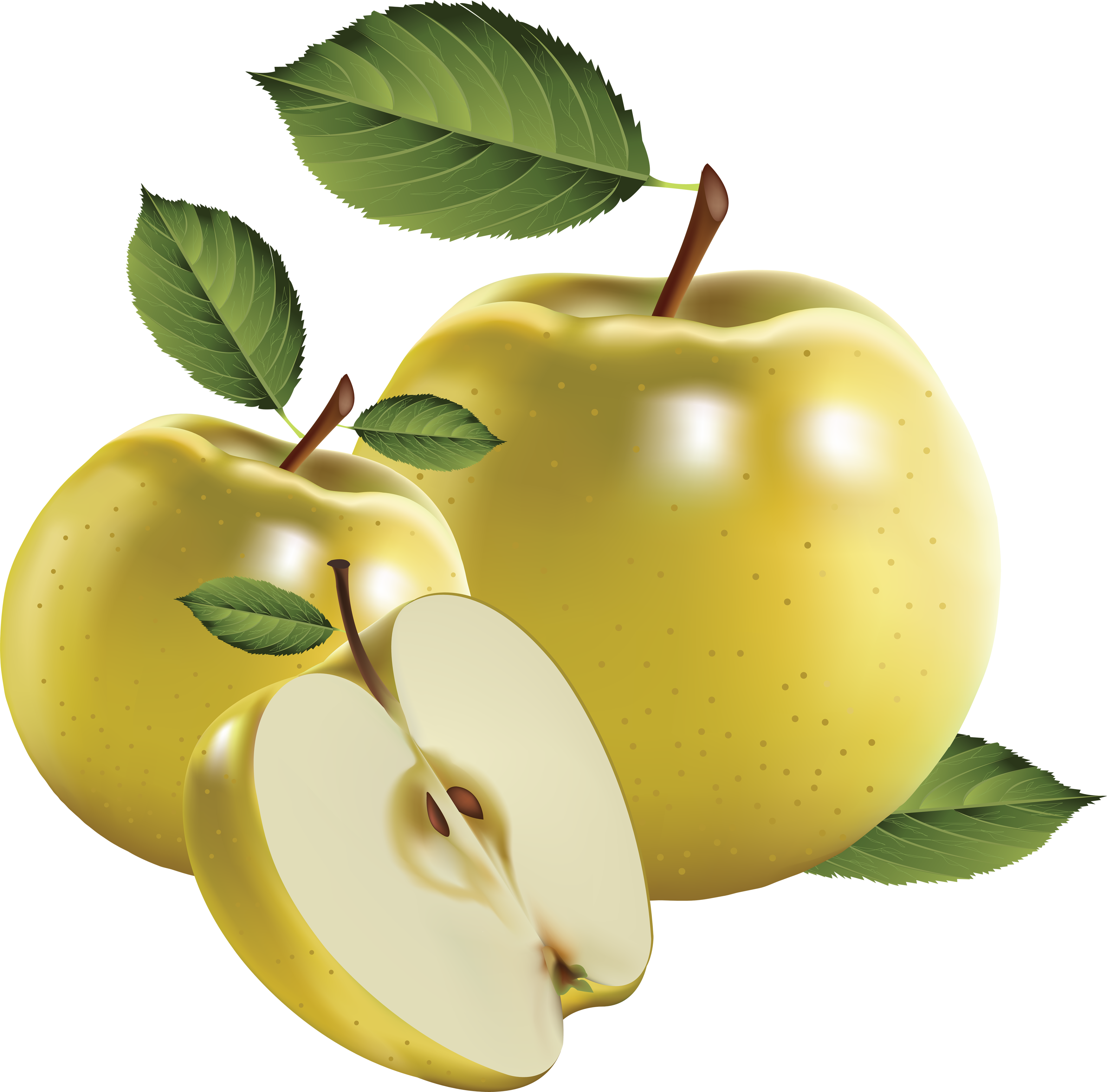 Download Png Image - Free Vector Lemon (3492x3445), Png Download