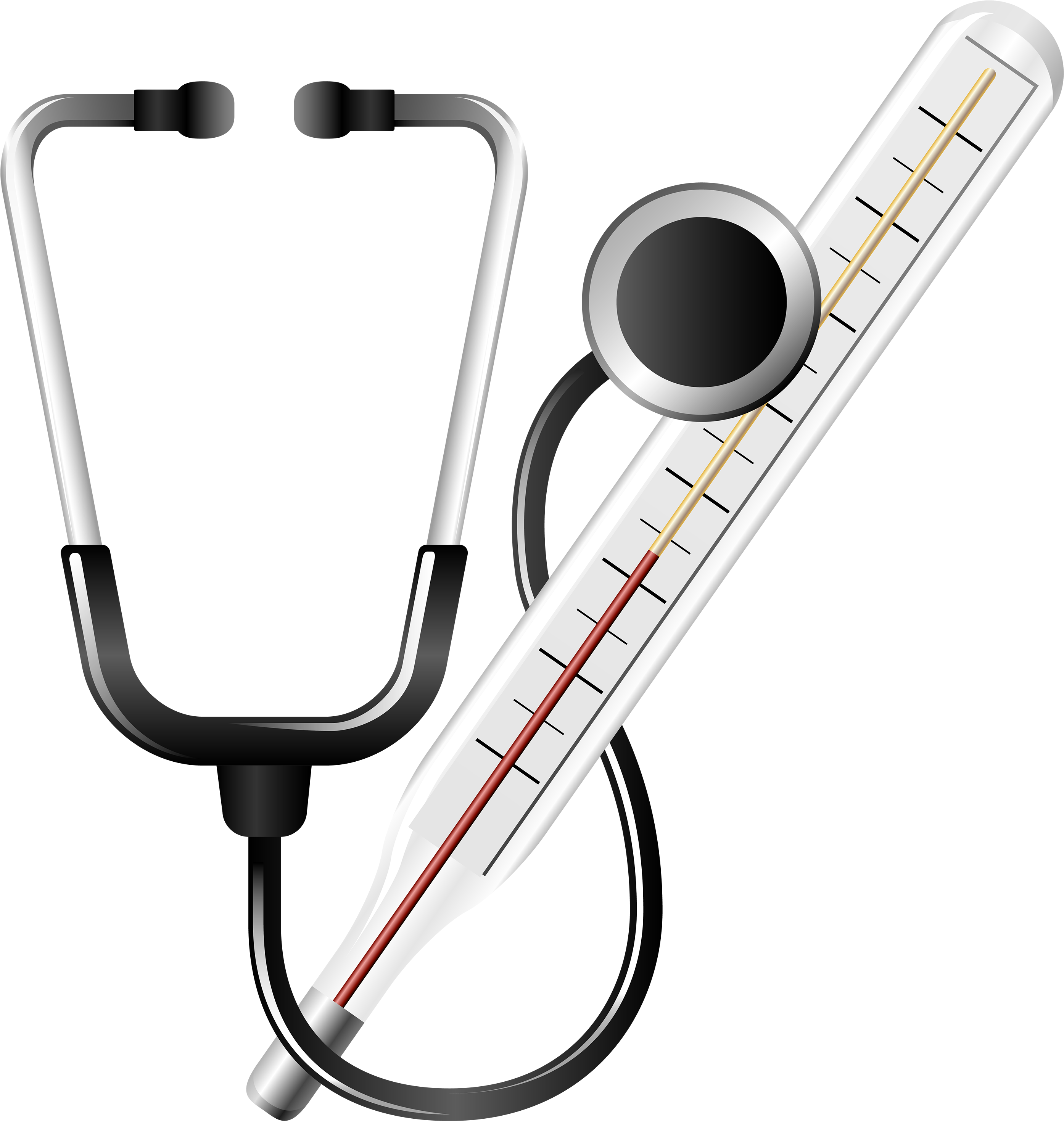Free Png Stethoscope And Medical Thermometer Png Images - Medical Clipart Png (481x506), Png Download