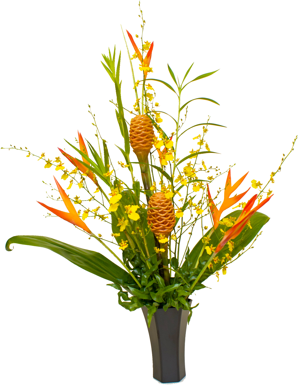 95 Previous Next (1444x1600), Png Download