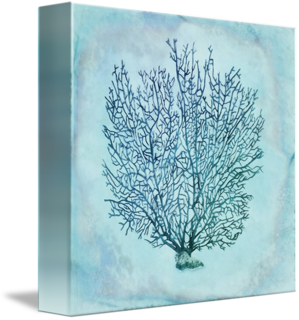 Coral Watercolor Png Png Free Library - Michael Aram Fan Coral Sculpture Oxidized (special (606x650), Png Download