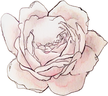 Mason Witzel Art Artwork Illustration Drawing Tattoo - Hybrid Tea Rose (550x550), Png Download