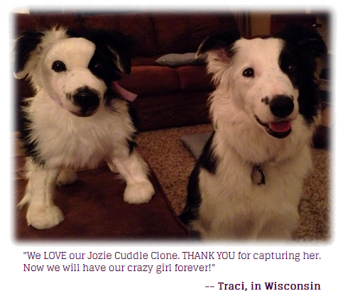 Clone Of Your Pet Stuffed Animal (475x416), Png Download