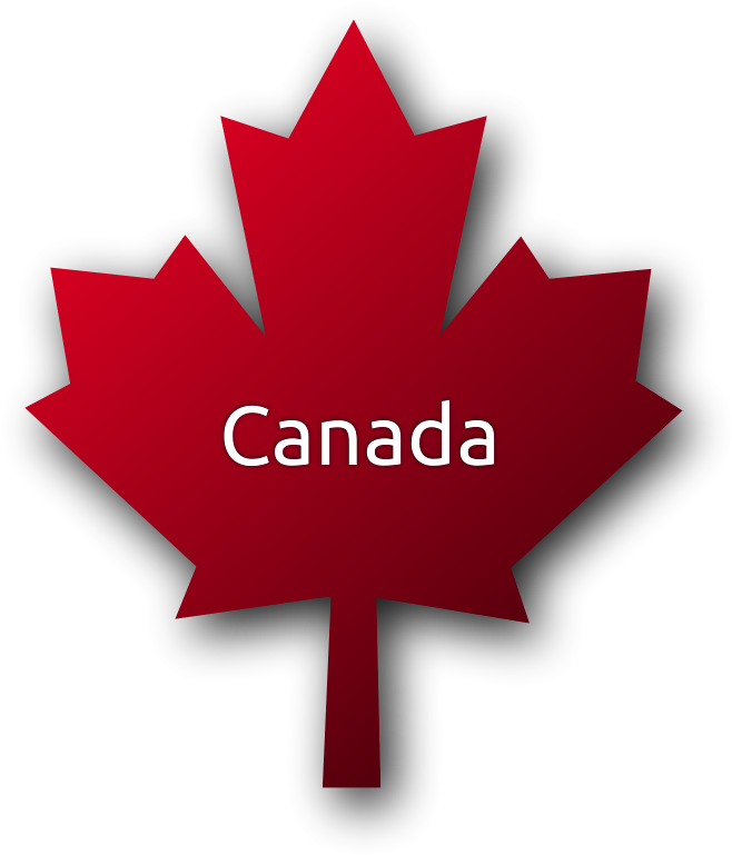 Canada Leaf Png Clipart - Small Canadian Maple Leaf (699x800), Png Download