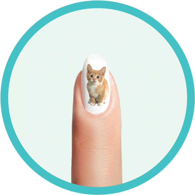 Nailvy Whale Kitten - Paw (700x700), Png Download