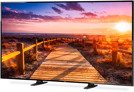 Nec Large Screen Displays - Nec E656 65" Lcd Full Hd Black Public Display (480x480), Png Download