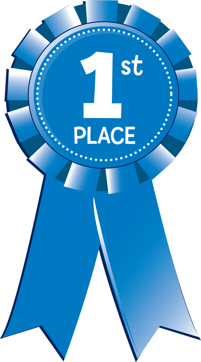 Ribbon Clipart First Place - First Place Ribbon Png (650x1171), Png Download