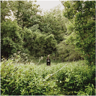 Pale Light - Pale Light - Cd (336x480), Png Download