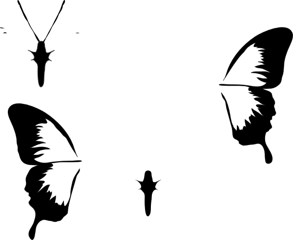 Butterfly - Black And White Butterfly Wings Png (600x490), Png Download