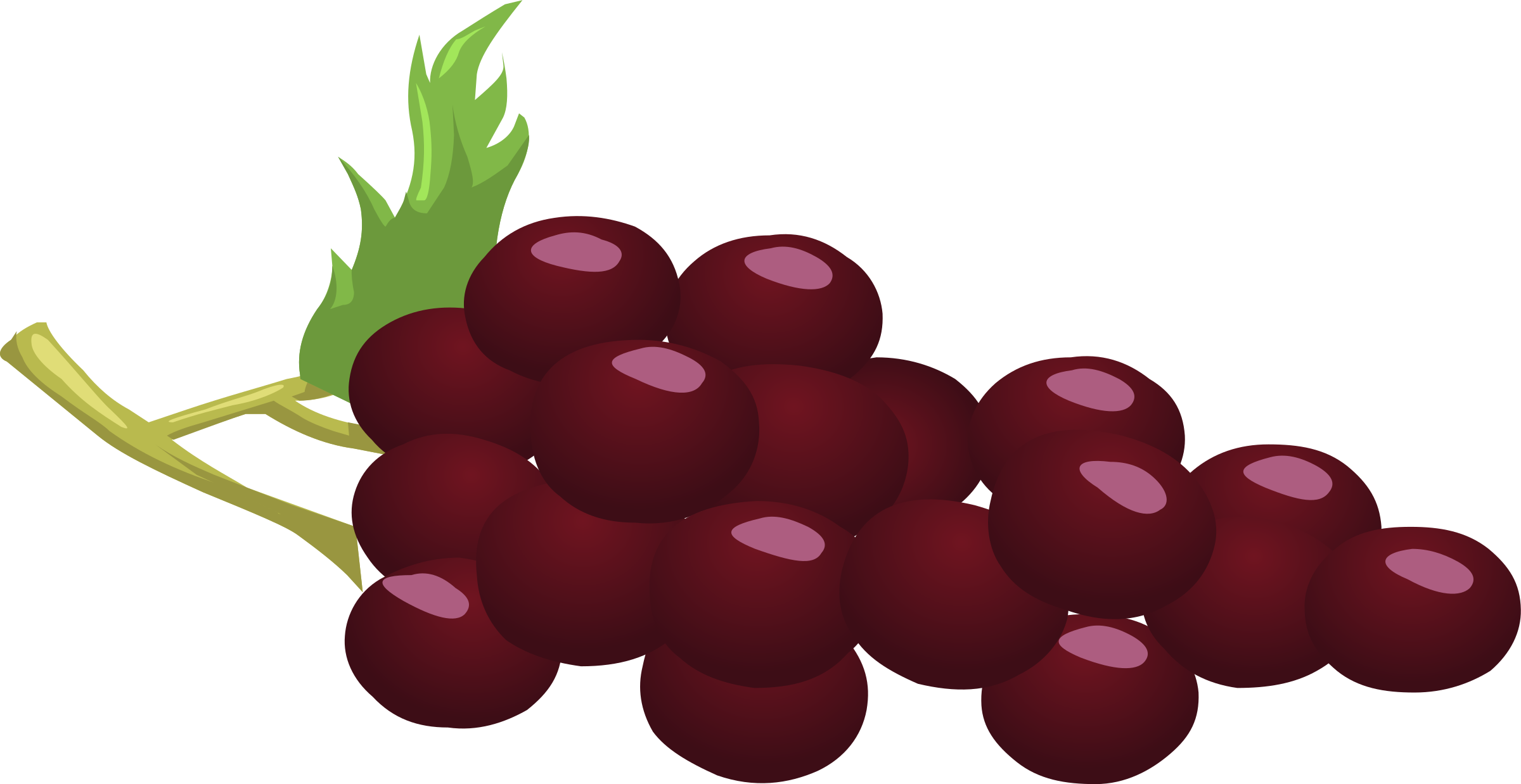 Clipart Grapes 3 - Red Grapes Clipart (2400x1238), Png Download