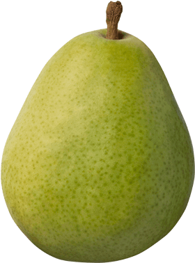 Green Anjou - Peras Williams (490x450), Png Download