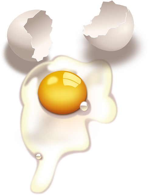 Egg, Broken, Yolk, Raw, Cracked, Uncooked, Shell - Raw Eggs Clipart (490x640), Png Download