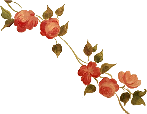 Photo Loose Rose Vine 1 - Rose Vine (536x386), Png Download