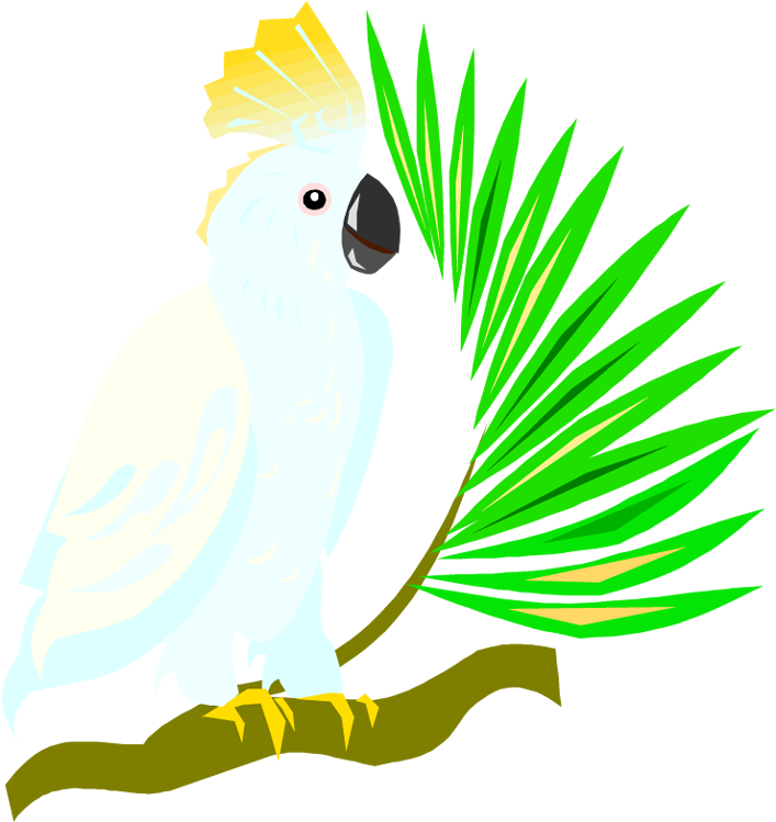 Tail Clipart Parrot - Cockatoo Clipart Transparent Background (716x750), Png Download