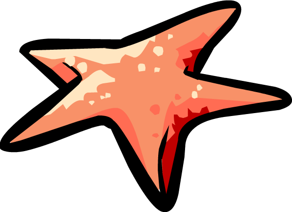 Starfish - Starfish Png (598x435), Png Download