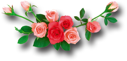 Decoration Rose Flower Png - Rose (524x304), Png Download